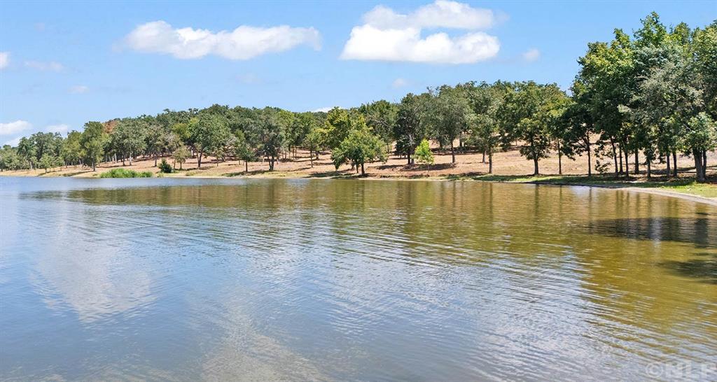 Sandy lake shoreline