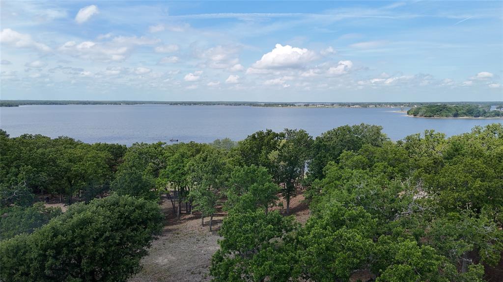Lake and wooded shoreline